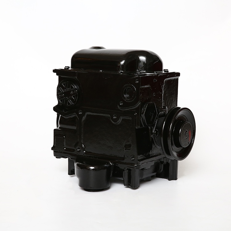 GY1001 Tokheim Type Fuel Pump For Fuel Dispenser